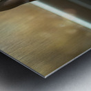 Boston Terrier Puppy Sees Sunshine After The Rain Metal print