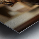 Yorkshire Terrier Puppy Caught Climbing Forbidden Sofa Metal print