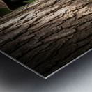 Detective Puppy Solves Case And Finds New Garden Friend Metal print