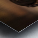 Happy Yorkshire Terrier Puppy With Nature Treasures Metal print