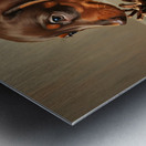 Happy Dachshund Puppy Relaxing With Natural Treasures Metal print