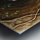 Poodle Puppy Finds Amazing Underground Chamber Metal print