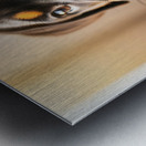 Rottweiler Puppy Discovers Something New Metal print