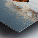 Dachshund Puppy Heads Home After Snowy Day Adventure Metal print