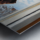 German Shorthaired Pointer Puppy Gets Winter Sweater Metal print