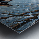 Sleepy Puppy Rests After Snow Adventure In Sweater Metal print