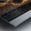 Confused German Shepherd Puppy Tilts Head At Glass Door Metal print