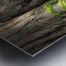 Poodle Puppy Ready For Garden Adventure Metal print