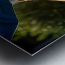 Bulldog Puppy Waves Goodbye To Mail Carrier Metal print