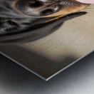 Happy Rottweiler Puppy After Tasty Discovery Metal print