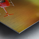 Beagle Puppy Discovers Flying Toy Metal print