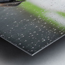 German Shepherd Puppy Discovers Raindrops On Glass Door Metal print