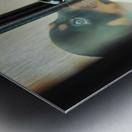 Thoughtful Puppy Contemplates Mysterious Reflection Metal print