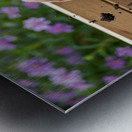 Beagle Puppy Enjoys Digging Success Metal print