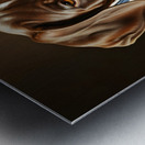 German Shorthaired Pointer Puppy Discovers Shopping Bag Metal print