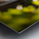 Golden Retriever Puppy Detective Begins Investigation Metal print