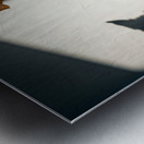 Golden Retriever Puppy Discovers Dancing Wall Shadows Metal print