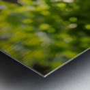 Golden Retriever Puppy Proud Of Pawprint Autograph Metal print