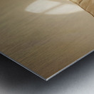 Sleepy Labrador Puppy Naps During Television Show Metal print