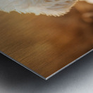 Bichon Frise Puppy Discovers Farm Haystack Adventure Metal print