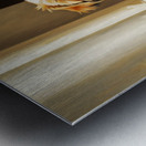 Happy Shih Tzu Puppy Ready To Play In Living Room Metal print