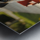 Sleepy Pug Puppy Rests After Wagon Adventure Metal print