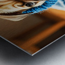 Pug Puppys Sleeve Adventure Begins Metal print
