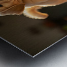 Golden Retriever Puppy Reaches For Plant Pot Metal print