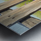 Bichon Frise Puppy Discovers The Park Fence Metal print