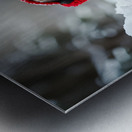 Pug Puppys First Snow Adventure With Red Earmuffs Metal print