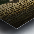 Corgi Puppy Spots Squirrel At Tree Base Metal print