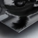 Excited Boston Terrier Puppy Emerges From Shopping Bag Discovery Metal print