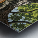 Content Corgi Puppy Dreams Under Tree Shade Metal print