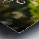 Husky Puppy Spots A Beautiful Butterfly In Garden Metal print