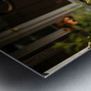 Cane Corso Puppy Gets Ready With Sparkly Collar Metal print