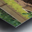 Guilty Border Collie Puppy Realizes Garden Mess Metal print