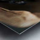 Boston Terrier Puppy Discovers Mysterious Shopping Bag Metal print