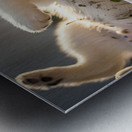 Happy Herb Covered Husky Puppy Metal print