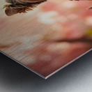 Tired Little King Yorkie Rests On Throne Metal print