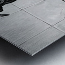 Happy Boston Terrier Puppy Enjoys Sudsy Bath Time Metal print