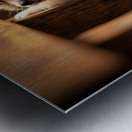 Pomeranian Puppy Watches Family Game Night Fun Metal print