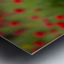 Boston Terrier Puppy And Butterfly Rest Together In Garden Metal print