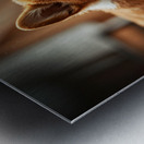 Corgi Puppy Takes Shelter From Heavy Rain Metal print