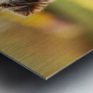 Yorkie Puppy Claims His Royal Throne Metal print