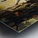 Border Collie Puppy Dreams Of Bird Feeder Adventure   Metal print