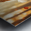 Pomeranian Puppy Carries Pinecone Through Forest Metal print