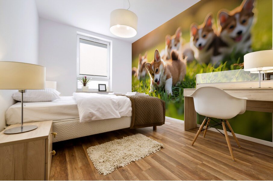 Pembroke Welsh Corgi Puppy Ready To Play With Siblings Mural print