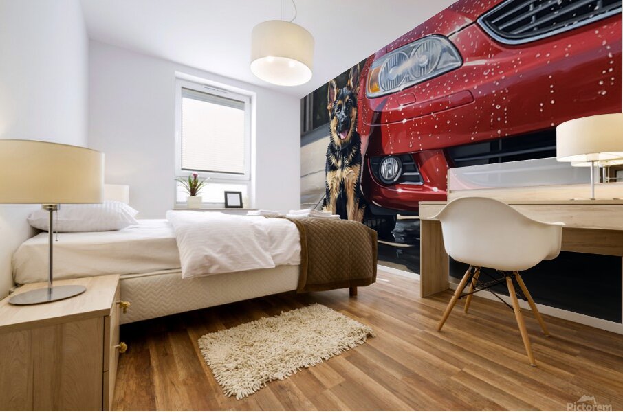 Clean German Shepherd Puppy After Successful Car Wash Mural print