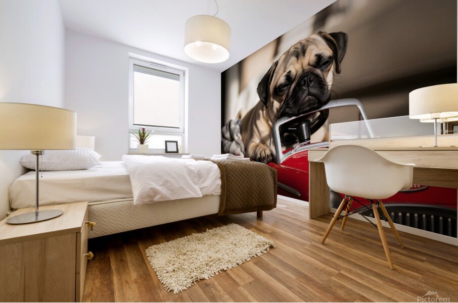 Sleepy Pug Puppy After Car Adventure Mural print