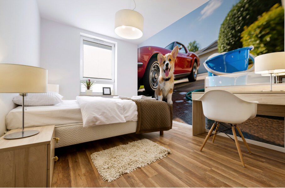 Corgi Puppy Ready For Car Wash Adventure Mural print